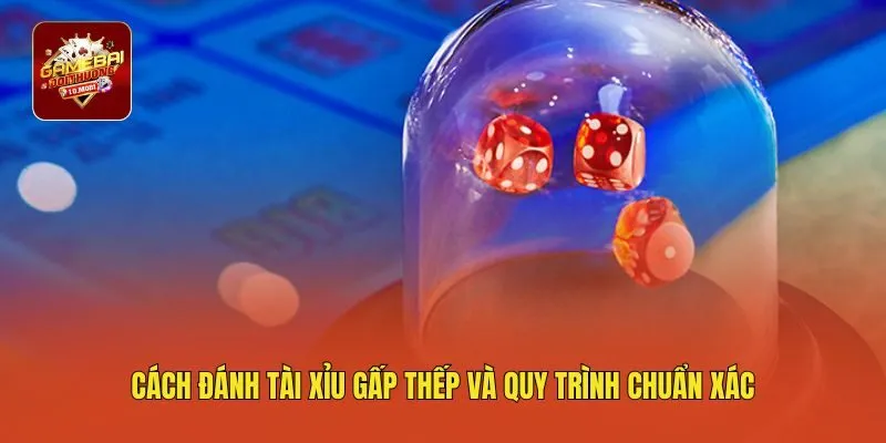 Cách đánh tài xỉu gấp thếp và quy trình chuẩn xác