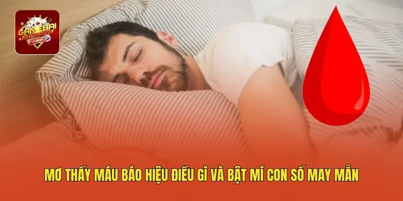 Mơ Thấy Máu Báo Hiệu Điều Gì Và Bật Mí Con Số May Mắn 